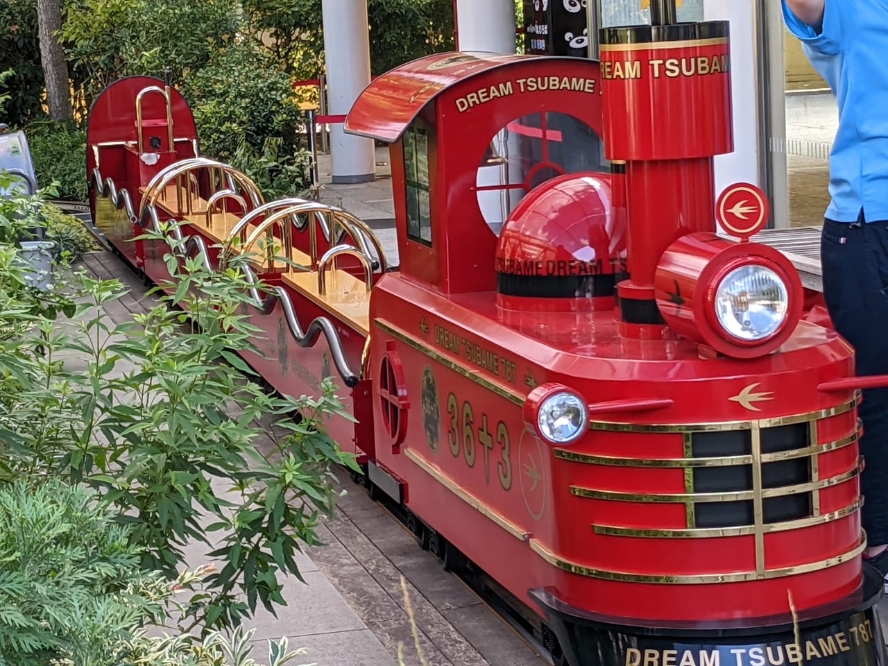 福岡市博多区】JR博多シティの緑豊かな「屋上つばめの杜ひろば」には