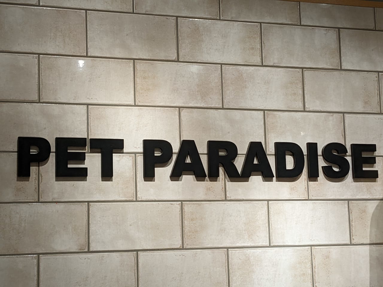 petparadis